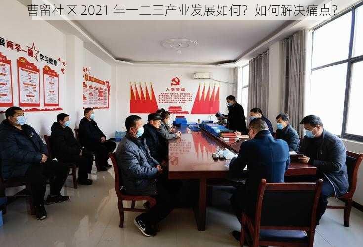 曹留社区 2021 年一二三产业发展如何？如何解决痛点？