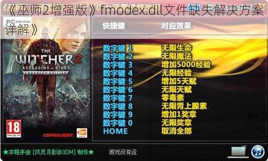 《巫师2增强版》fmodex.dll文件缺失解决方案详解》