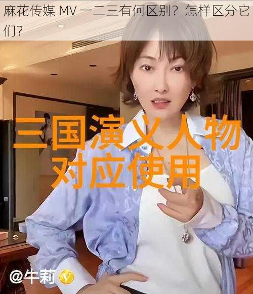 麻花传媒 MV 一二三有何区别？怎样区分它们？