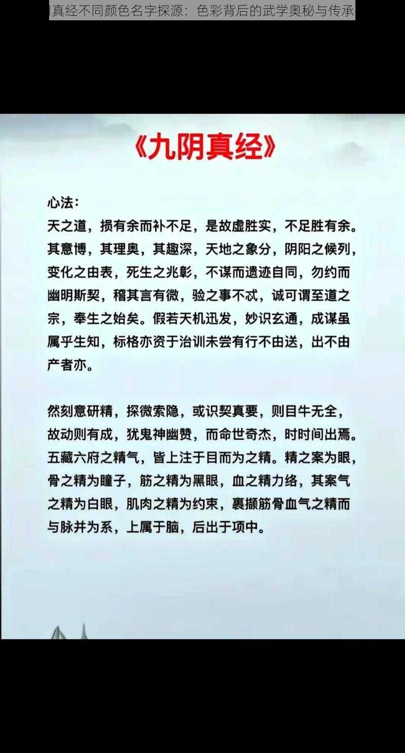 九阴真经不同颜色名字探源：色彩背后的武学奥秘与传承揭秘