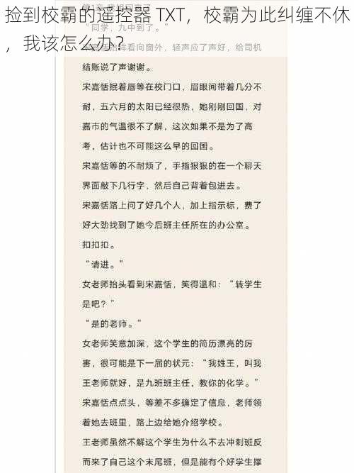 捡到校霸的遥控器 TXT，校霸为此纠缠不休，我该怎么办？