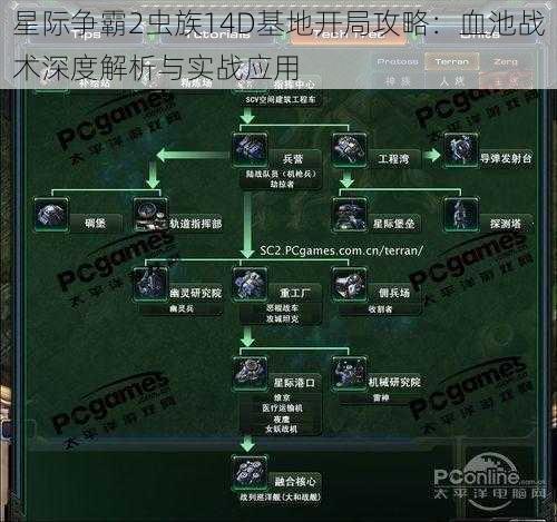 星际争霸2虫族14D基地开局攻略：血池战术深度解析与实战应用