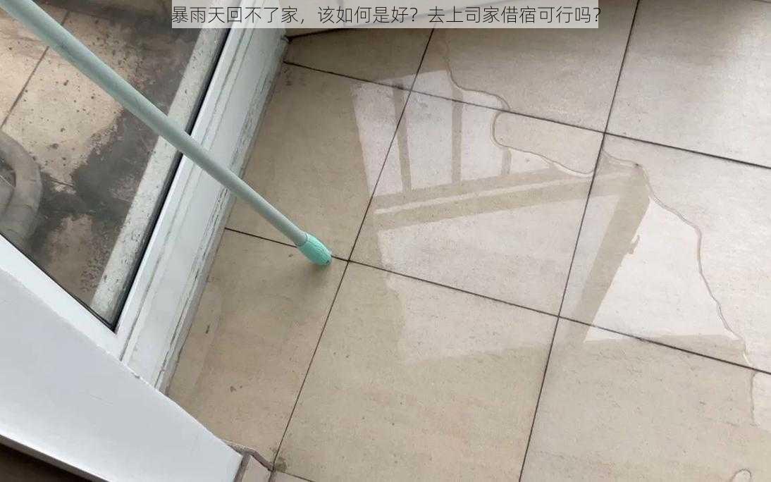 暴雨天回不了家，该如何是好？去上司家借宿可行吗？