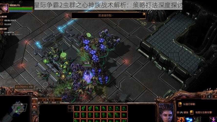 星际争霸2虫群之心神族战术解析：策略打法深度探讨