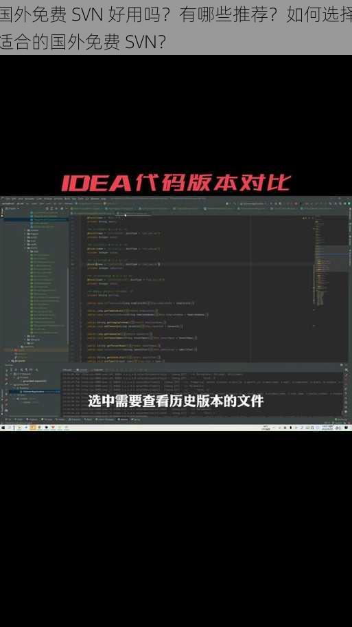 国外免费 SVN 好用吗？有哪些推荐？如何选择适合的国外免费 SVN？