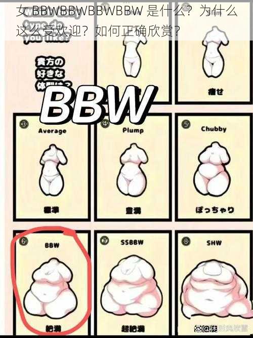 女 BBWBBWBBWBBW 是什么？为什么这么受欢迎？如何正确欣赏？