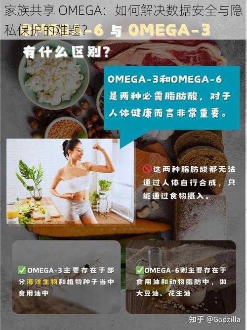 家族共享 OMEGA：如何解决数据安全与隐私保护的难题？