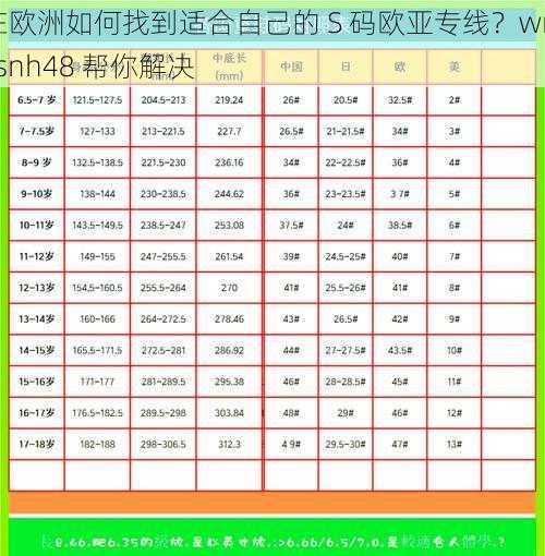 在欧洲如何找到适合自己的 S 码欧亚专线？wmysnh48 帮你解决