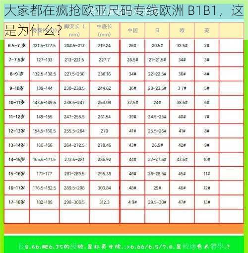 大家都在疯抢欧亚尺码专线欧洲 B1B1，这是为什么？