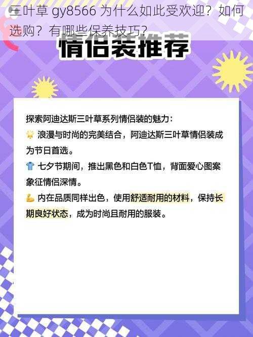 三叶草 gy8566 为什么如此受欢迎？如何选购？有哪些保养技巧？