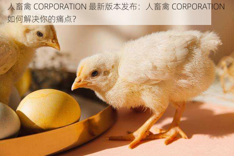 人畜禽 CORPORATION 最新版本发布：人畜禽 CORPORATION 如何解决你的痛点？