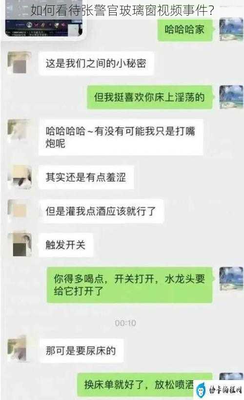 如何看待张警官玻璃窗视频事件？