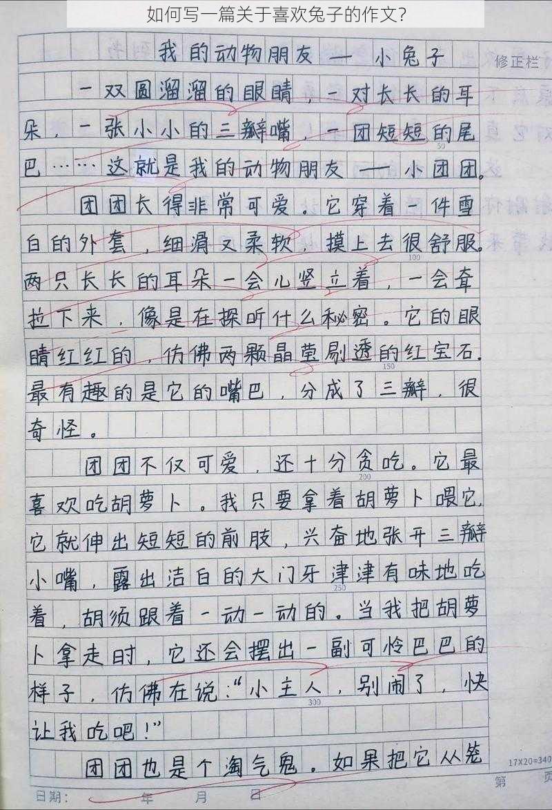 如何写一篇关于喜欢兔子的作文？