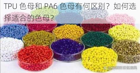 TPU 色母和 PA6 色母有何区别？如何选择适合的色母？