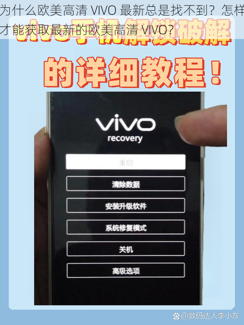 为什么欧美高清 VIVO 最新总是找不到？怎样才能获取最新的欧美高清 VIVO？