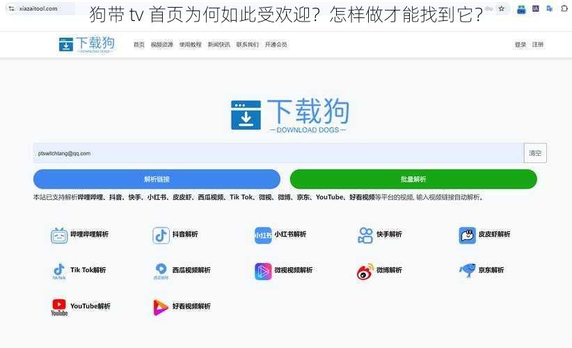 狗带 tv 首页为何如此受欢迎？怎样做才能找到它？