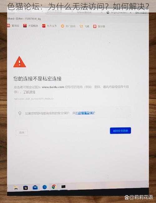 色猫论坛：为什么无法访问？如何解决？