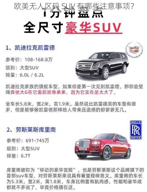 欧美无人区码 SUV 有哪些注意事项？