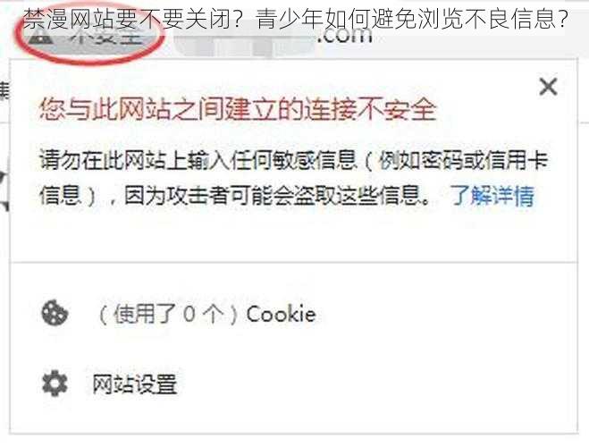 禁漫网站要不要关闭？青少年如何避免浏览不良信息？