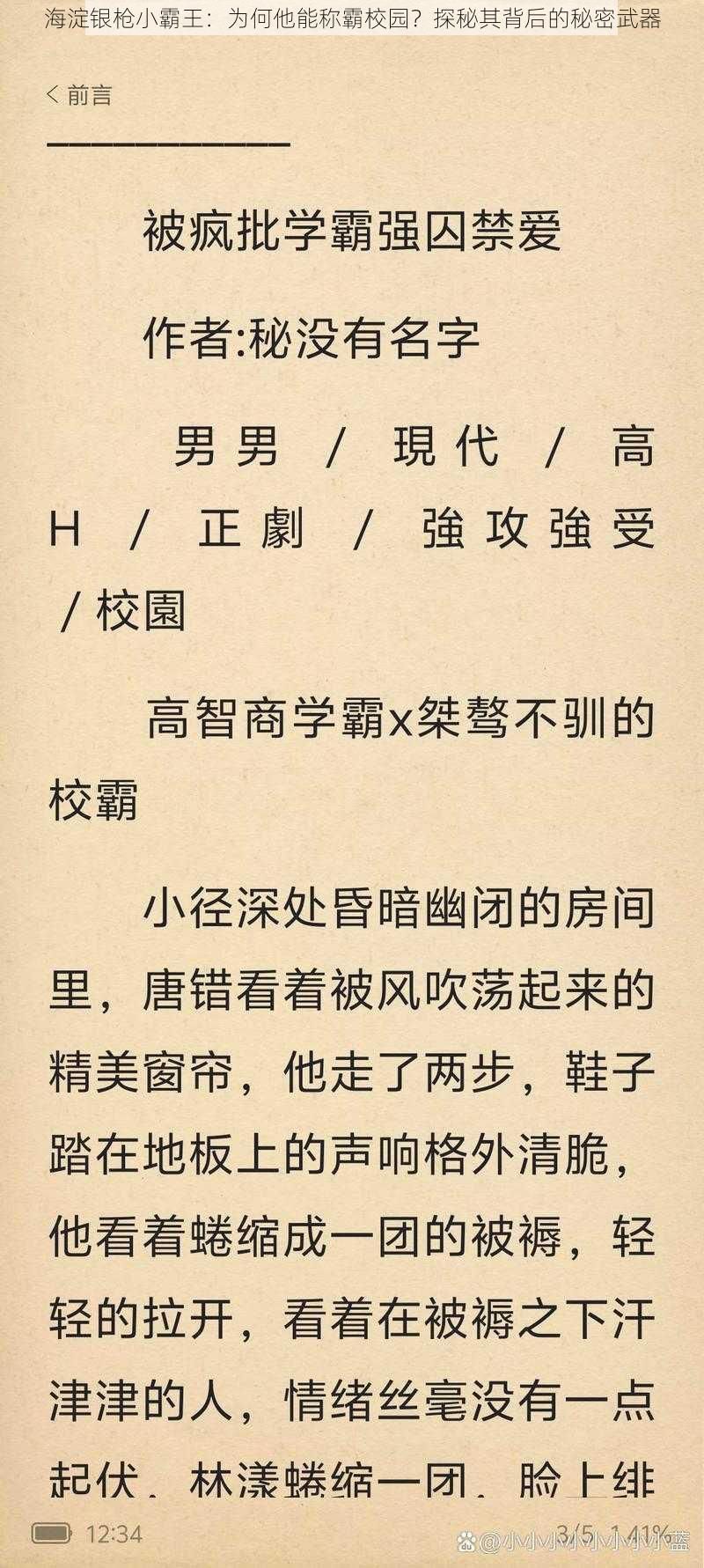 海淀银枪小霸王：为何他能称霸校园？探秘其背后的秘密武器