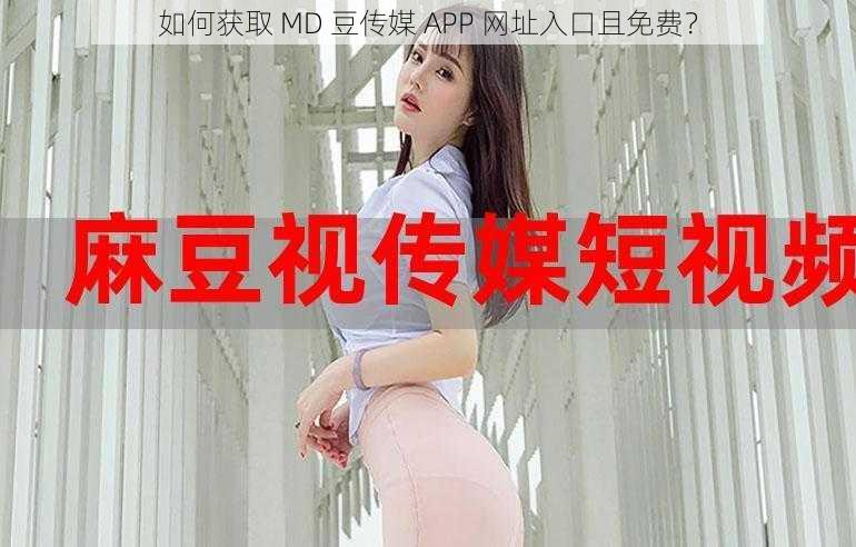 如何获取 MD 豆传媒 APP 网址入口且免费？