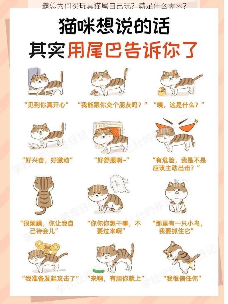 霸总为何买玩具猫尾自己玩？满足什么需求？