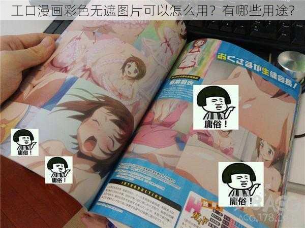 工口漫画彩色无遮图片可以怎么用？有哪些用途？